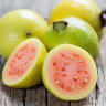 Guava Tree Pink Variety Guava Tree Pink Variety