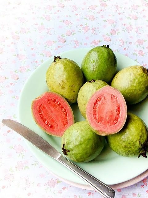 Guava Tree Pink Variety Guava Tree Pink Variety