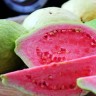 Pink Guava Fruit Pink Guava Fruit