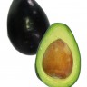 Brazos Belle Avocado Fruit Brazos Belle Avocado Fruit