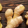 Ginger Edible Spice Plant Ginger Edible Spice Plant