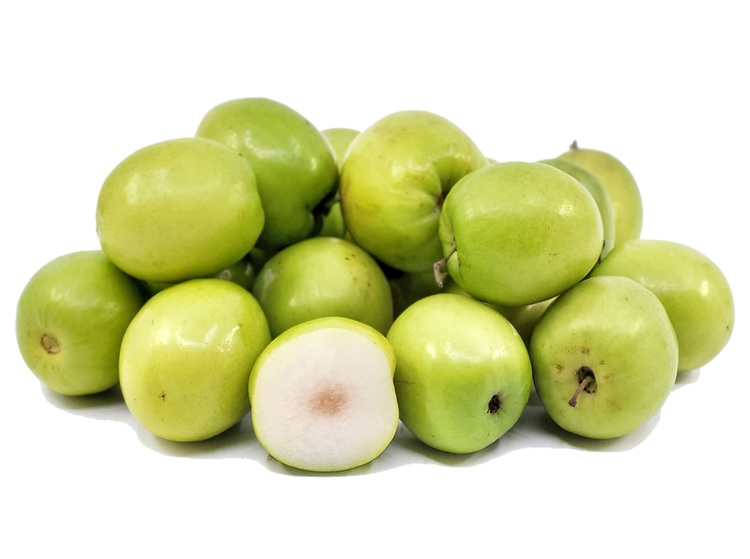 Indian Green Thornless Jujube Indian Green Thornless Jujube