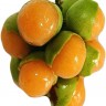 Genip Fruit bunch Genip Fruit bunch