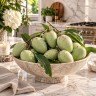 Mango Tree Ice Cream Dwarf Variety Grafted Mango Tree Ice Cream Dwarf Variety Grafted