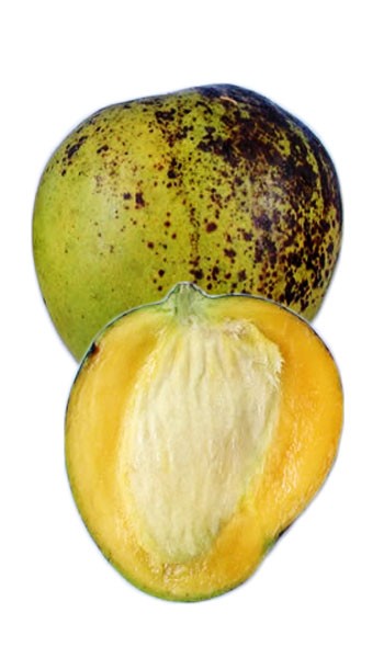 Ice Cream Mango Fruit
