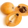 Loquat Loquat