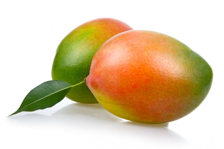 Keitt Mango Fruit
