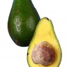 Hall Avocado Fruit Hall Avocado Fruit