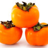 Fuyu Persimmon Fuyu Persimmon