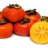 Fuyu Persimmon fruit Fuyu Persimmon fruit