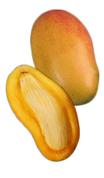 Valencia Pride Mango Fruit