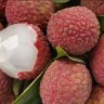 sweetheart lychee sweetheart lychee