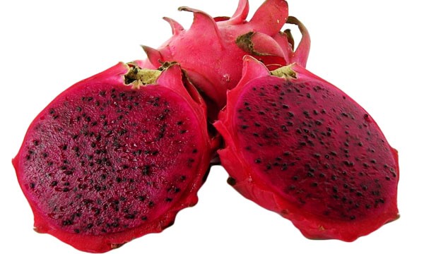 red dragon fruit red dragon fruit