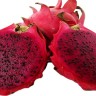 red dragon fruit red dragon fruit