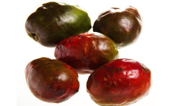 Red Hog Plum Fruit Red Hog Plum Fruit