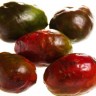 Red Hog Plum Fruit Red Hog Plum Fruit