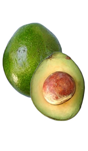 Monroe Avocado Fruit