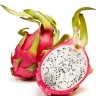 White Dragon fruit White Dragon fruit