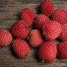 Lychee Tree Emperor Dwarf Variety Air-Layered Lychee Tree Emperor Dwarf Variety Air-Layered