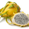 Yellow Dragon Fruit Yellow Dragon Fruit