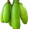 Bilimbi Fruit Bilimbi Fruit