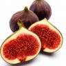 Brown Turkey Fig Fruit Brown Turkey Fig Fruit
