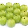 Gooseberry fruit Gooseberry fruit