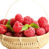 Raspberry Fruit Raspberry Fruit