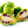 noni fruit noni fruit