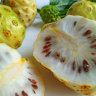 Noni Fruit Noni Fruit