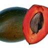 Green Sapote Fruit Green Sapote Fruit