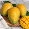 Baptiste Mango Fruit Baptiste Mango Fruit