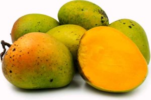 Mango Tree Alphonso Variety Grafted