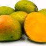 Alphonso Mango Alphonso Mango