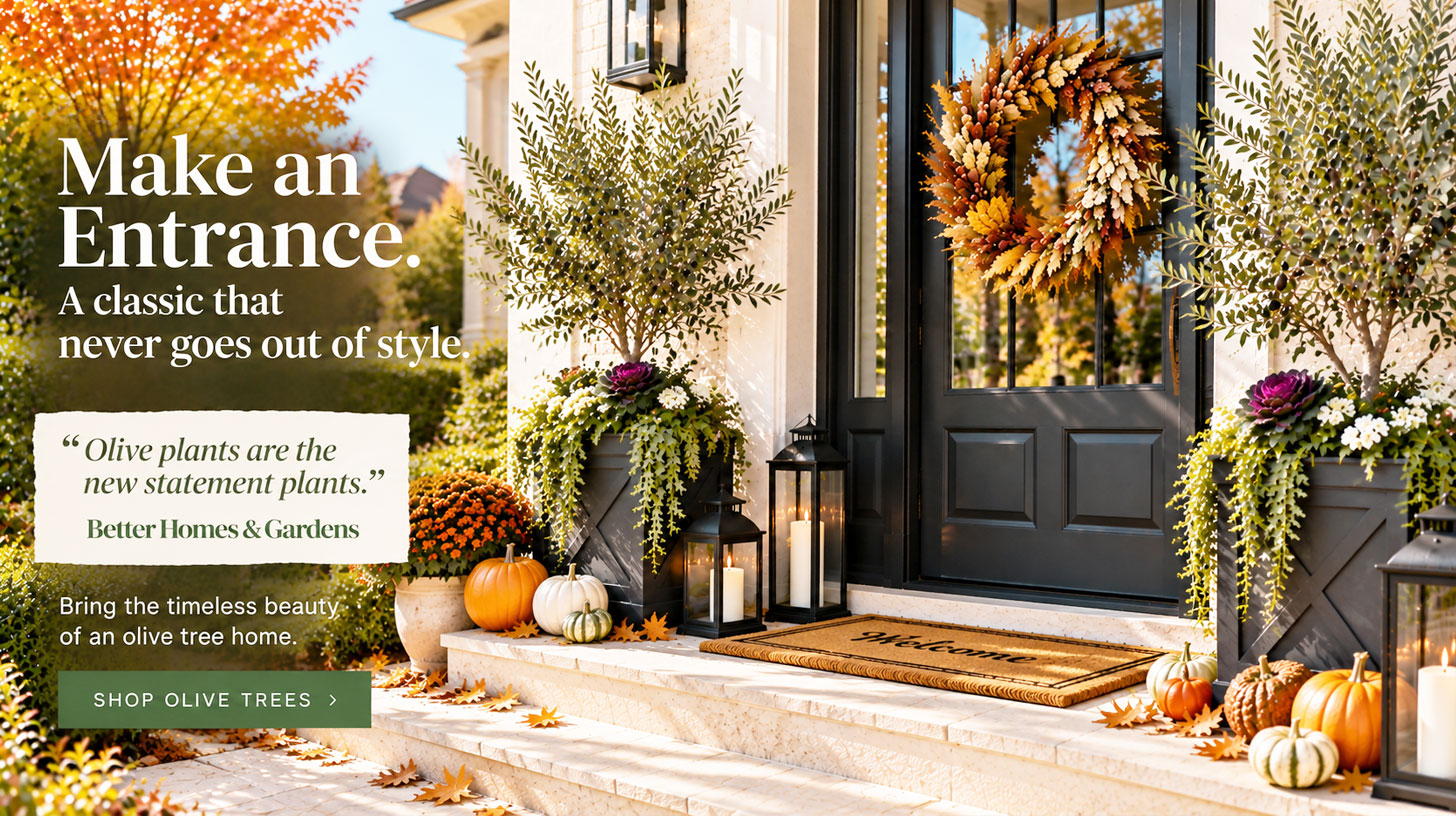 Fall Favorites